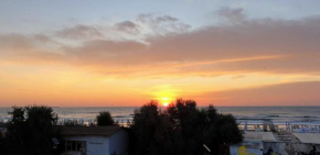 Tecoma Rooms Mamaia